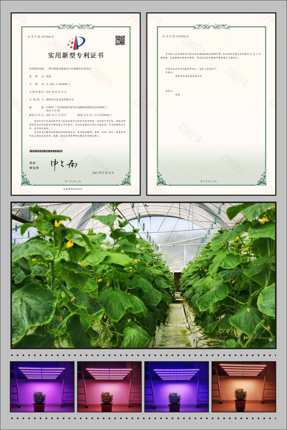 j9国际站备用植物农场灯实用新型专利