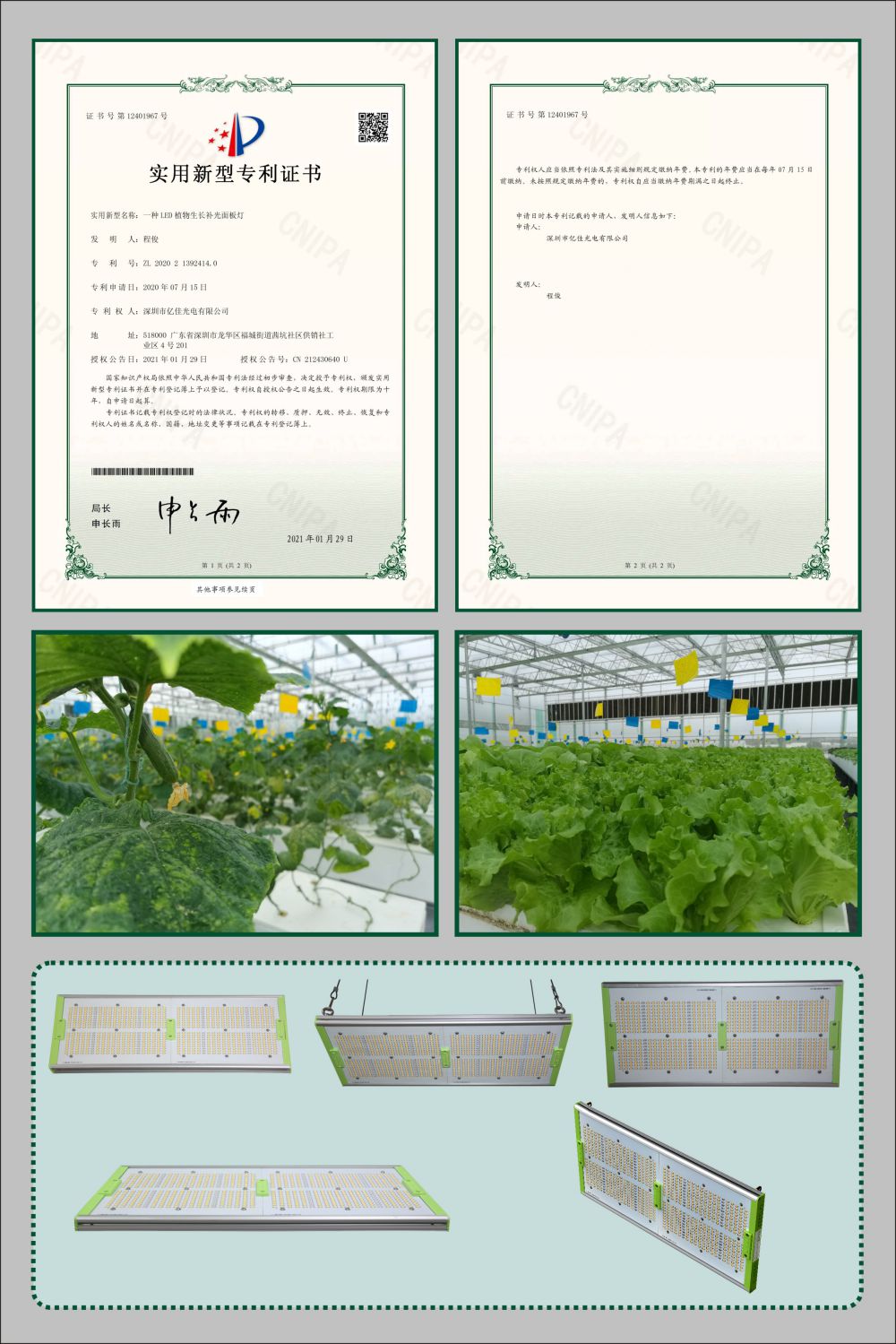 j9国际站备用植物成长面板灯实用新型专利